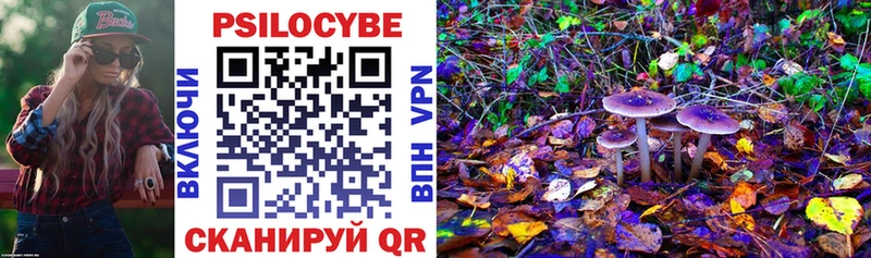 закладка  Донской  Галлюциногенные грибы Cubensis 